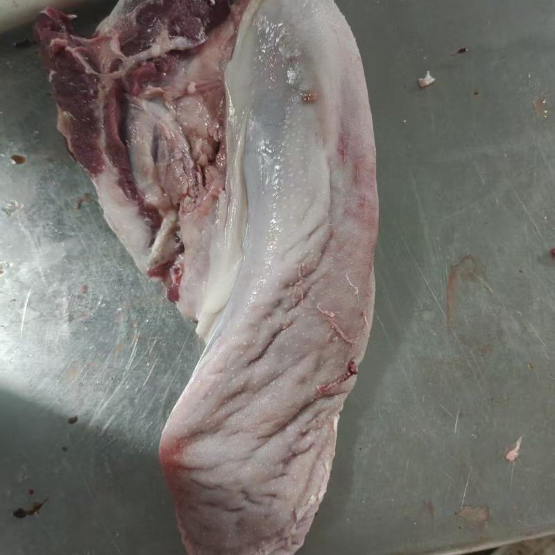猪口条
