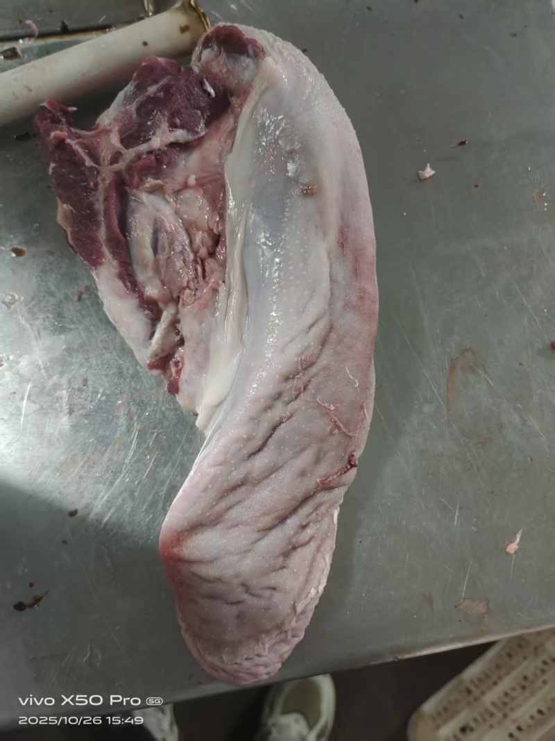猪口条