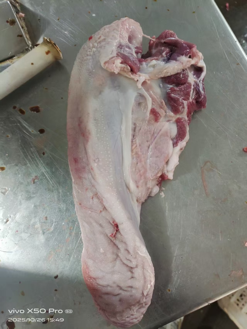 猪口条
