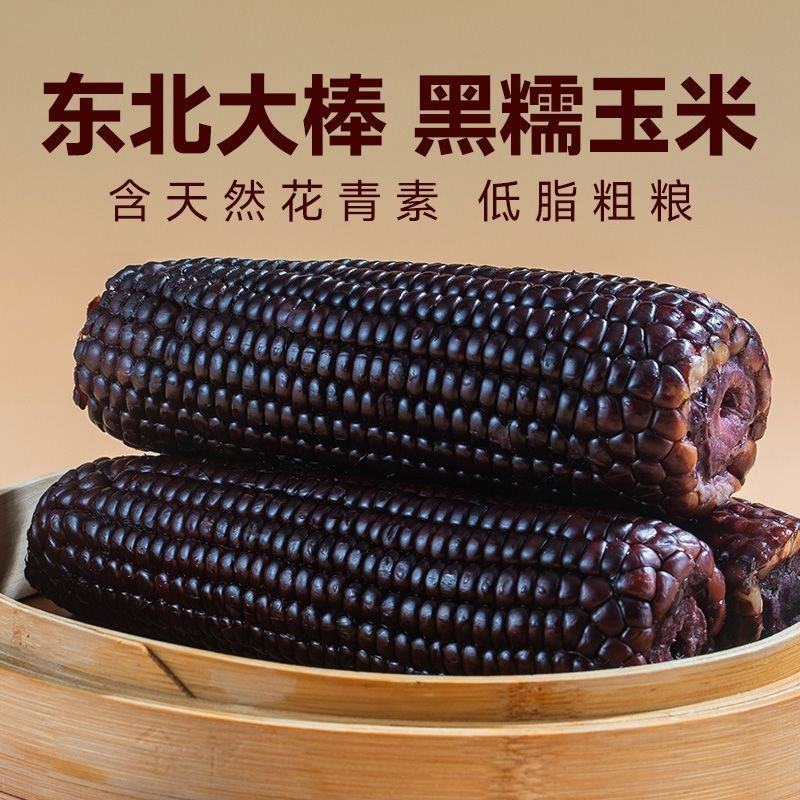 8棒280g/棒25年新玉米东北黑糯玉米黏甜真空装非转基