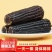 8棒280g/棒25年新玉米东北黑糯玉米黏甜真空装非转基