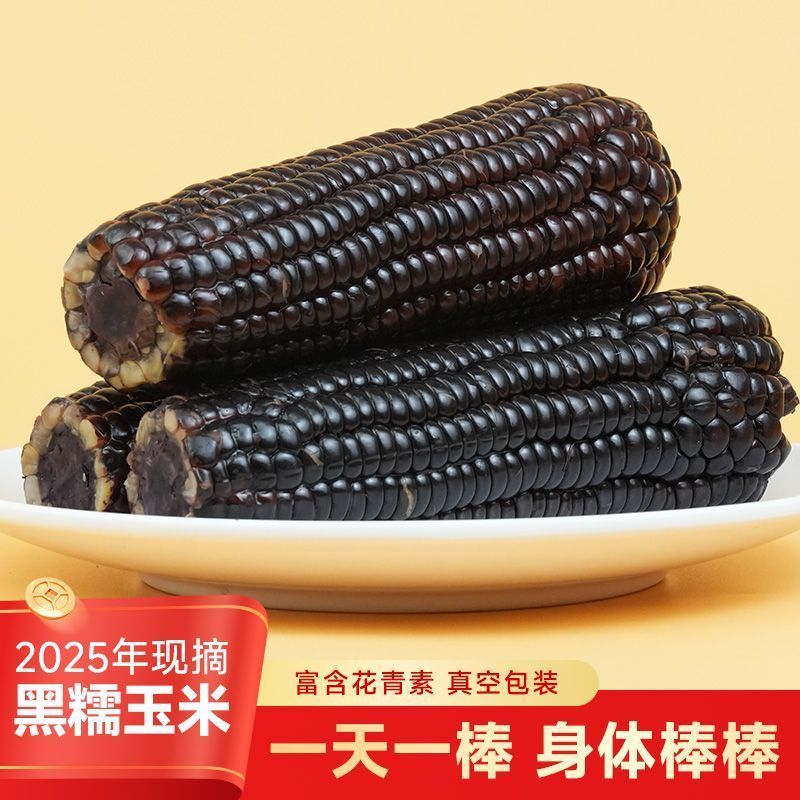 8棒280g/棒25年新玉米东北黑糯玉米黏甜真空装非转基