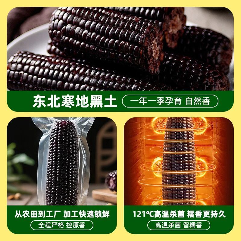 8棒280g/棒25年新玉米东北黑糯玉米黏甜真空装非转基