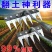 新款除草耙子带刀片不锈钢多功能加厚锰钢钉耙翻土农用家