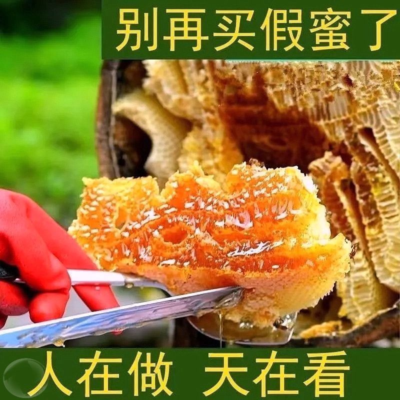 新疆***沙棘花蜜纯正蜂蜜农家天然蜂蜜营养雪蜜丰富4斤