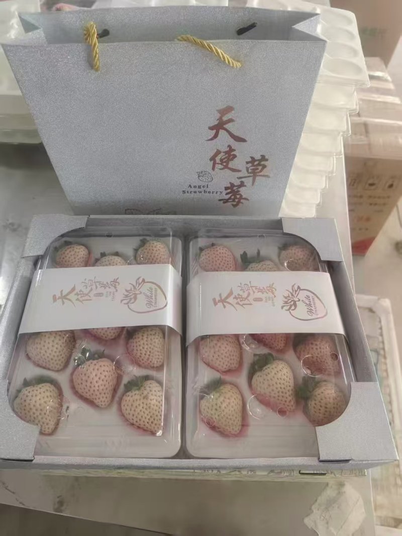 山东青岛白草莓上市产地直发规格齐全保质保量欢迎随时联系