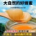 新疆巴精蜂沙棘蜂蜜纯正土蜂蜜***正宗结晶正品农家新疆蜂