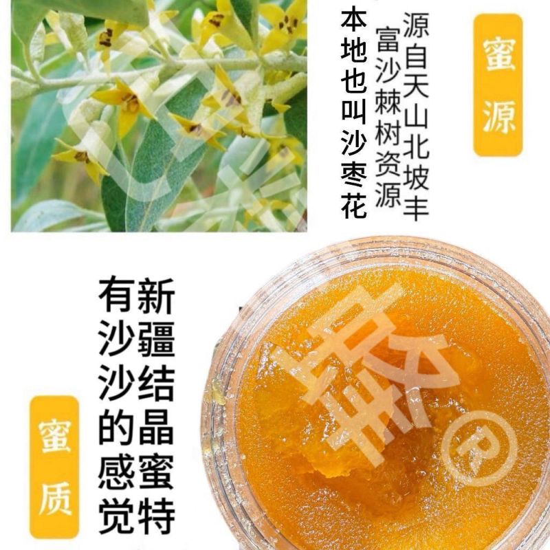 新疆巴精蜂沙棘蜂蜜纯正土蜂蜜***正宗结晶正品农家新疆蜂