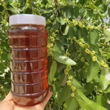 【畅销】山东特色枣花蜜基地直发全国包邮一条龙送货到家
