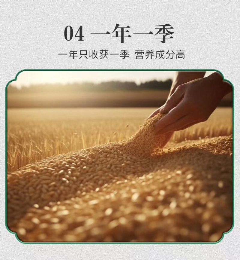 【石磨面粉】全福面一件代发电商代发抖音快手