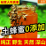 蜂蜜天然正品纯深山百花蜜农家原生态成熟封盖正宗