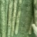 铁棍山药，产地直发，量大从优，欢迎各位老板咨询采购