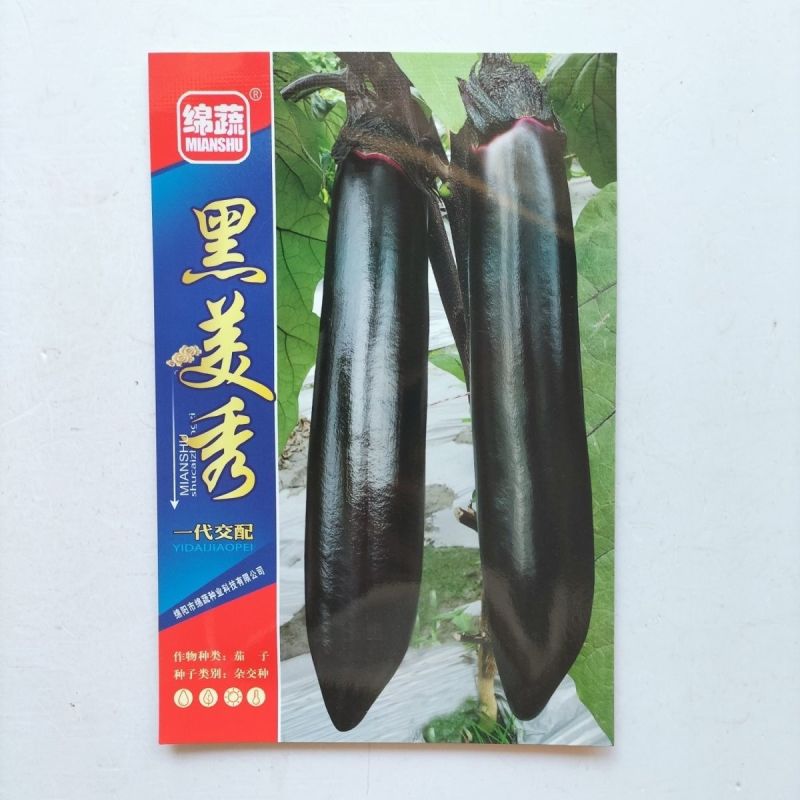 早熟长茄种籽大田种植肉厚籽少高产顺直整齐商品性好耐运输
