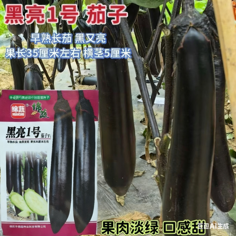 早熟长茄种籽大田种植肉厚籽少高产顺直整齐商品性好耐运输