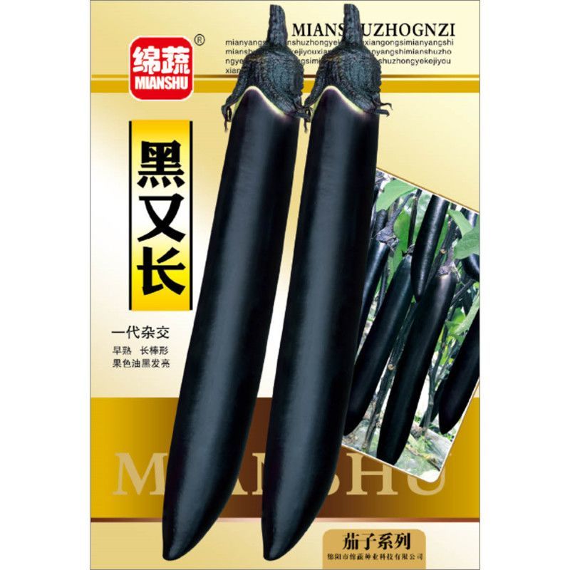早熟长茄种籽大田种植肉厚籽少高产顺直整齐商品性好耐运输