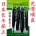 早熟长茄种籽大田种植肉厚籽少高产顺直整齐商品性好耐运输