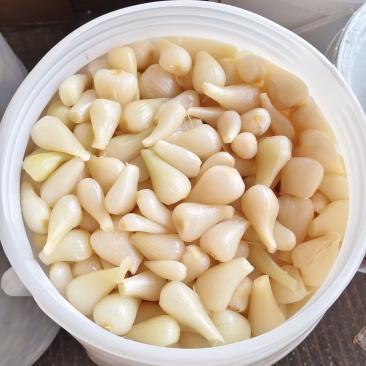 【泡菜】甜酸荞头，货品齐全，质量保证，大量有货