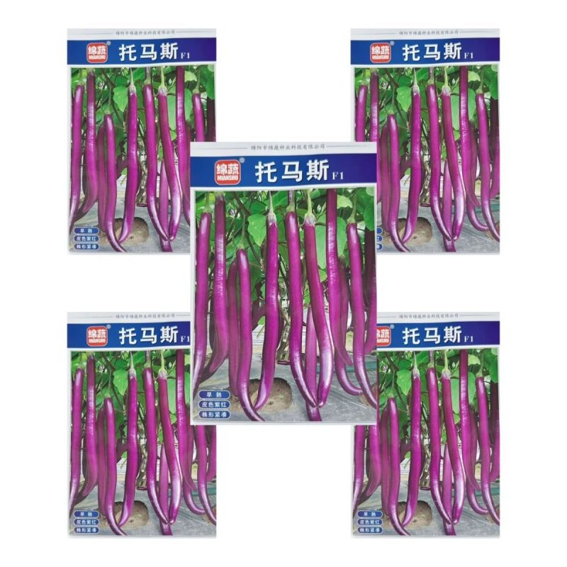 拖马斯长线茄种子早熟高产春秋播种紫红线茄种子皮嫩肉厚籽少