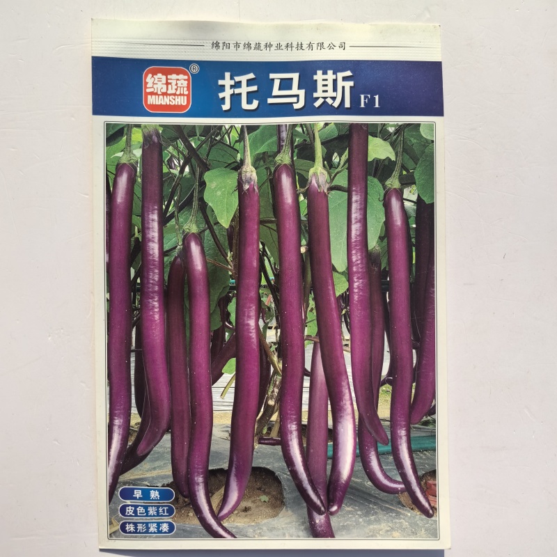 拖马斯长线茄种子早熟高产春秋播种紫红线茄种子皮嫩肉厚籽少