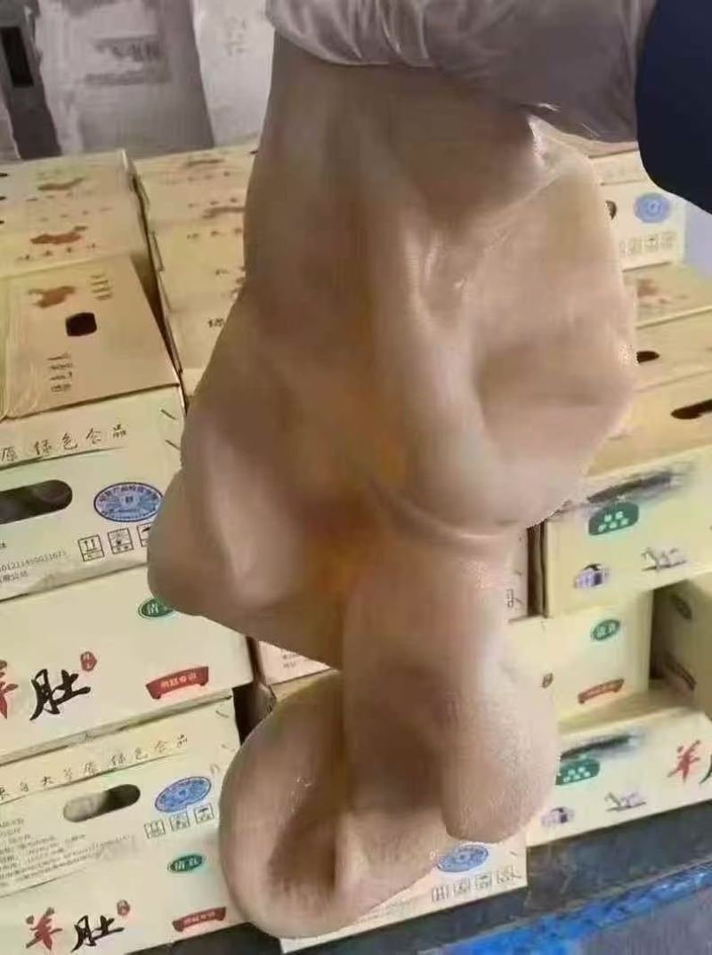 全熟羊肚，常年有货，品质保证，对接全国客户，欢迎合作