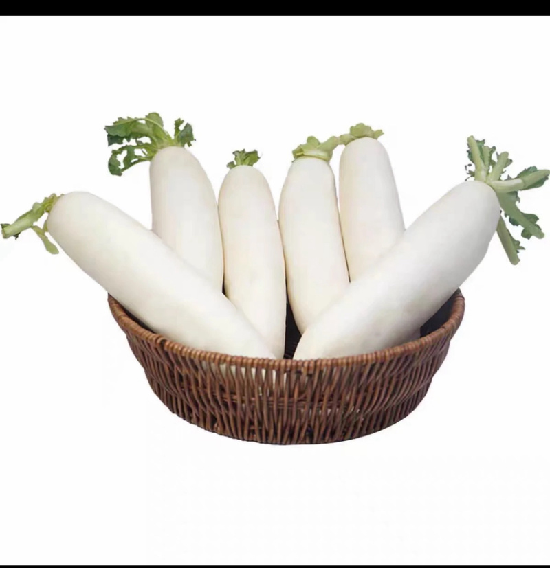 白萝卜