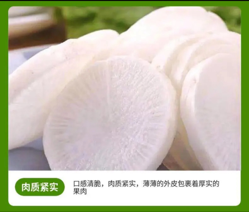 白萝卜
