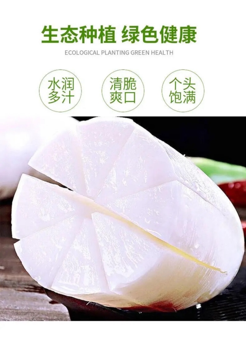 白萝卜