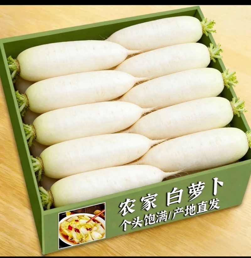 白萝卜