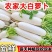 白萝卜