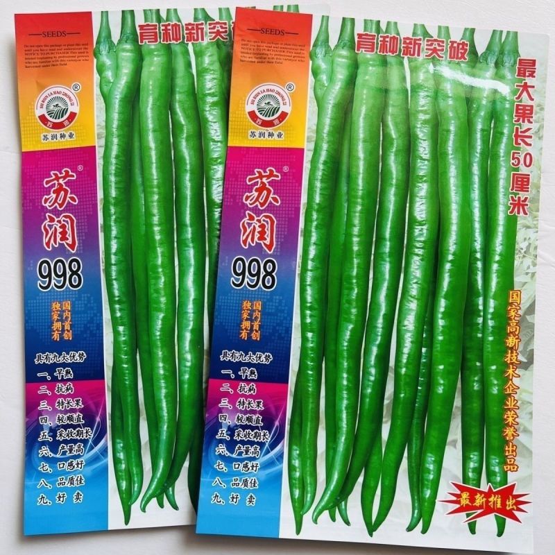 苏干二号长线椒种子高产辣味浓香青红干鲜多用型顺直线椒种子