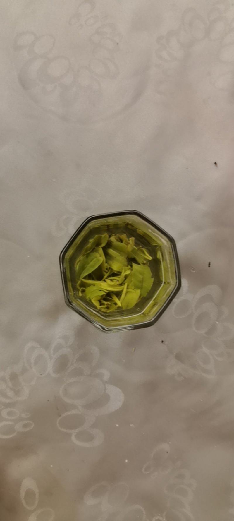 贵州省安顺市普定县化处镇朵贝绿茶