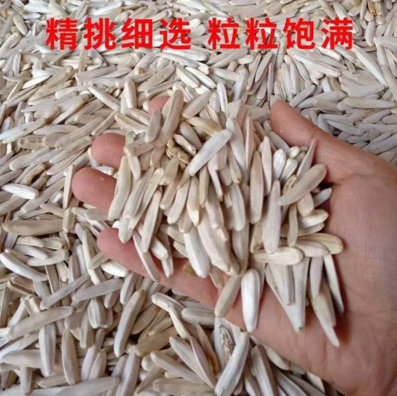 瓜子有货，质量保证有量的来吧，一件代发