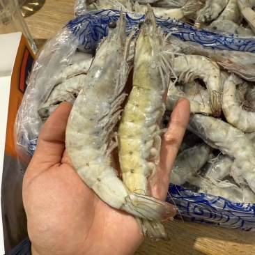 王牌白对虾30/40