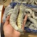 王牌白对虾30/40