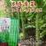 龙盛贡菜种子云贵川皖特色蔬菜绿皮绿肉脆嫩特长贡菜种籽莴笋