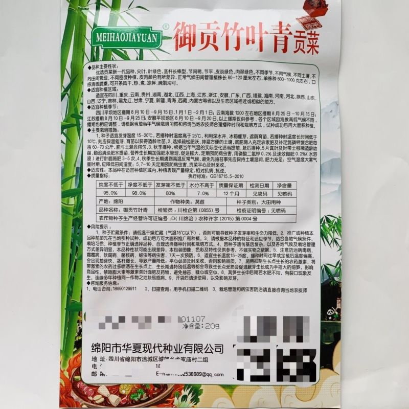 龙盛贡菜种子云贵川皖特色蔬菜绿皮绿肉脆嫩特长贡菜种籽莴笋