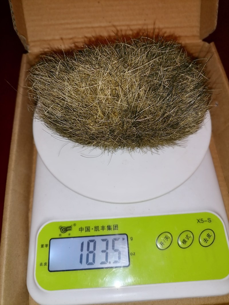 猪宝