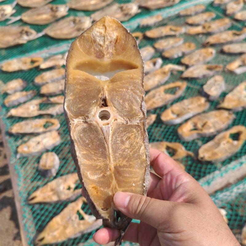 针鱼肉块，干度足干，价格优惠。