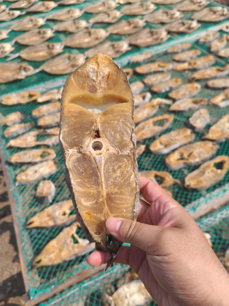 针鱼肉块，干度足干，价格优惠。