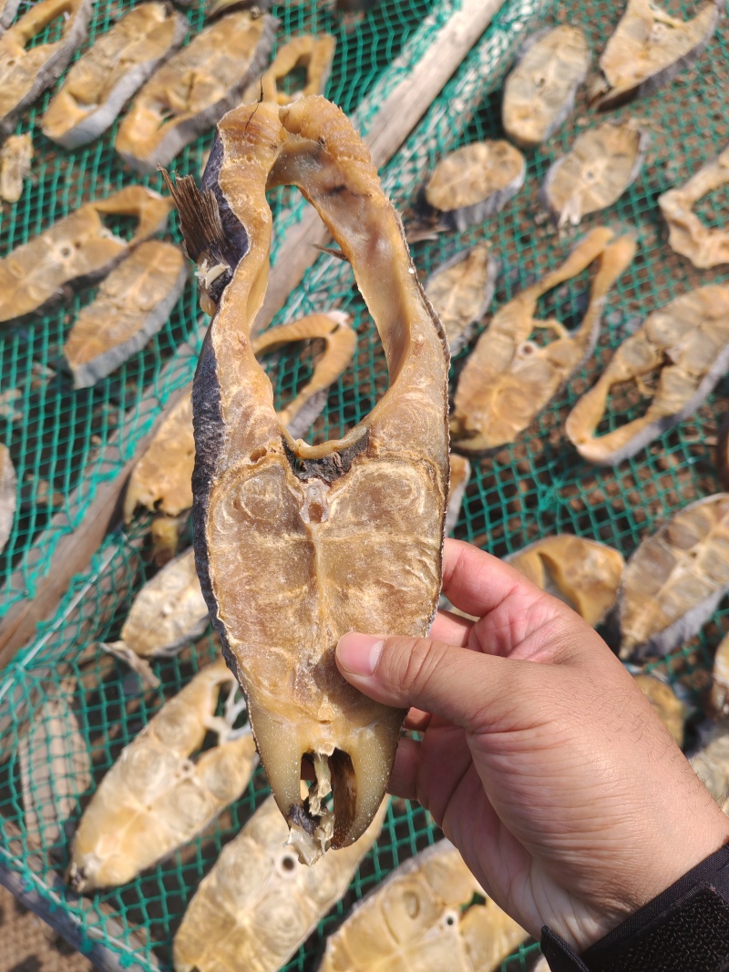 针鱼肉块，干度足干，价格优惠。