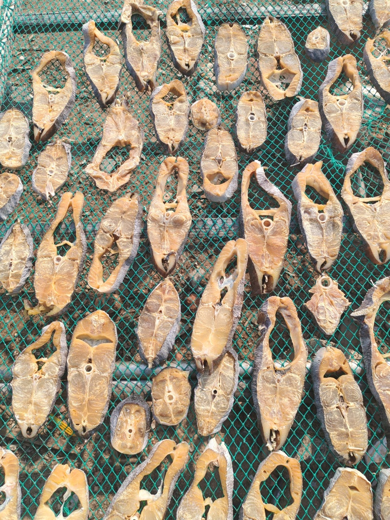 针鱼肉块，干度足干，价格优惠。