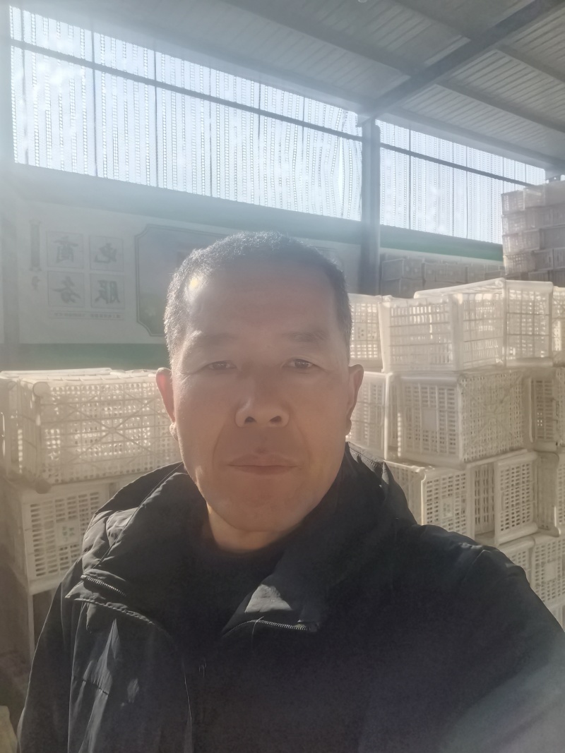 眉县徐香猕猴挑原产地果库代办，全代一条龙服务各种规格有货