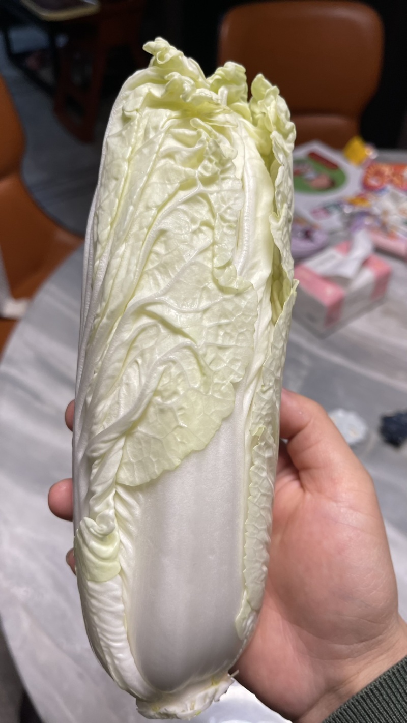白菜