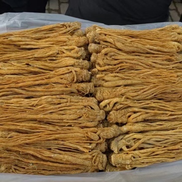 当归/甘肃定西岷县产地直发/可视频看货/对接全国采购商