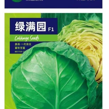 杜绝假货水果甘蓝种子包菜卷心菜种籽菜籽蔬菜种子大田用种