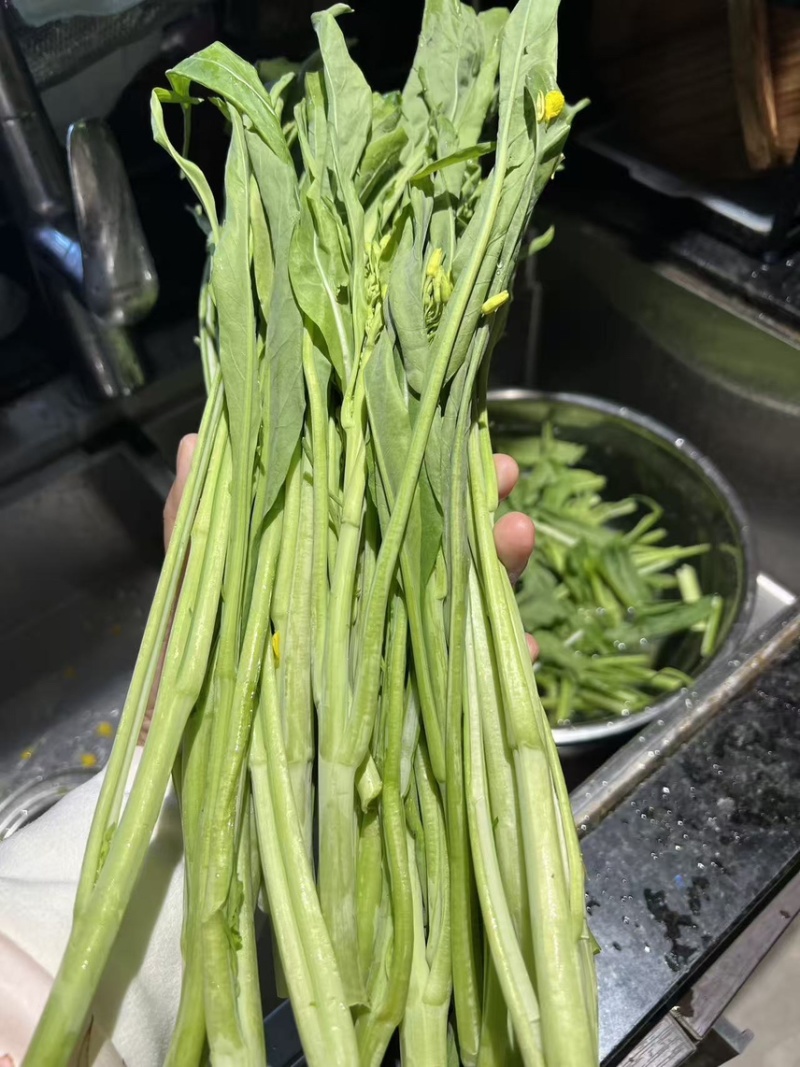 柳叶菜心