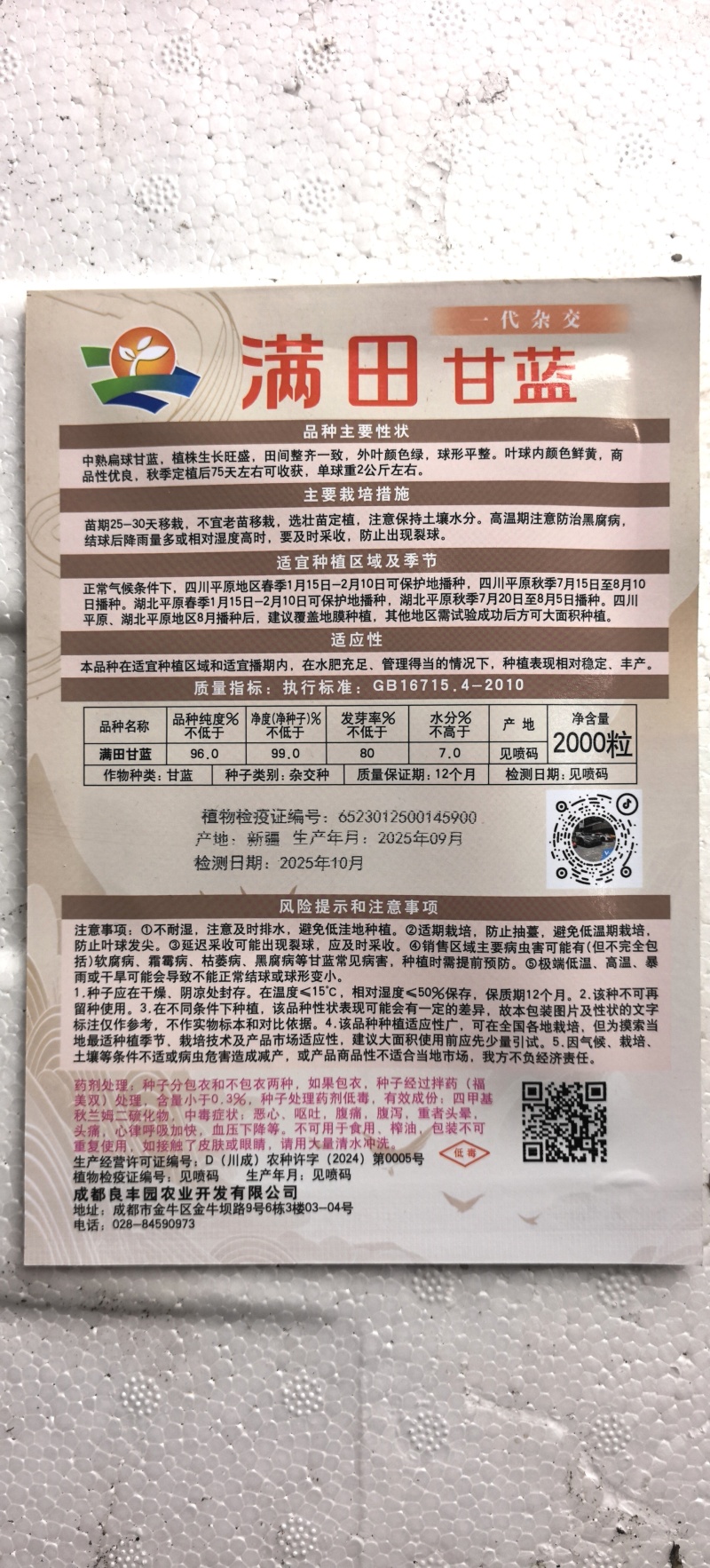 甘蓝种子满田中熟高品质扁球甜脆甘蓝品种包心整齐美观