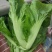 蔬菜。无农药无化肥的青菜。这么好的青菜，还等什