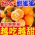 春见耙耙柑～丑橘～不知火～黄果柑～电商平台对接一件代发
