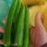 线椒，各种青辣椒都有。